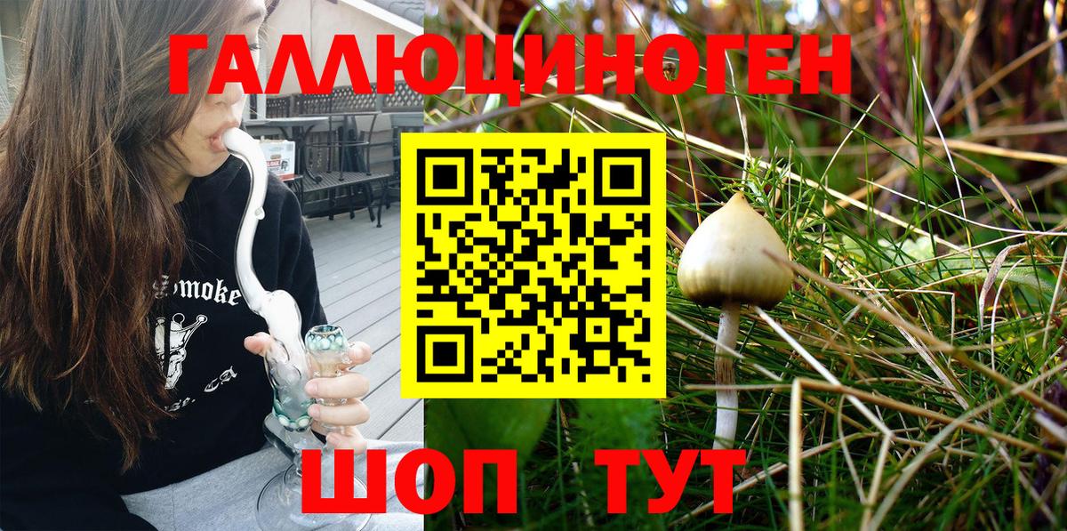 Черногорск  Псилоцибиновые грибы Magic Shrooms  Галлюциногенные грибы мухоморы  Вход с VPN 